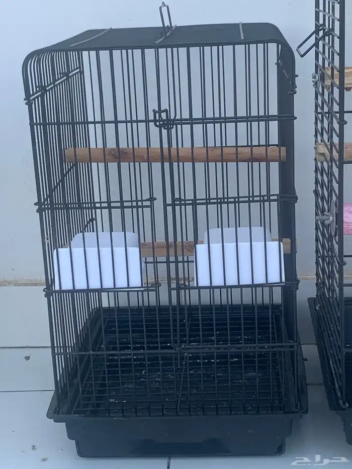 2 قفص كاسكو 3