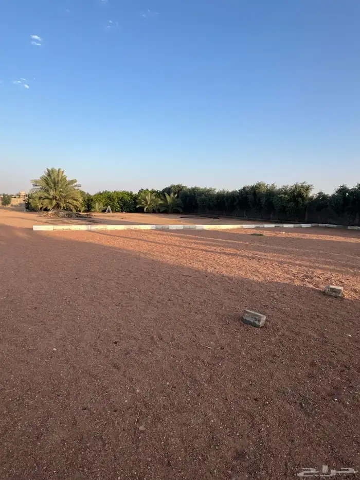 للبيع استراحة ومزرعة بالشقيق 11