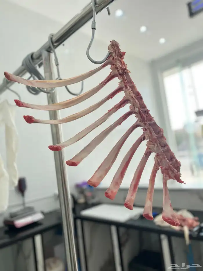 لحوم   مبردة وطازجة بأرخص الأسعار واعلي جودة 3