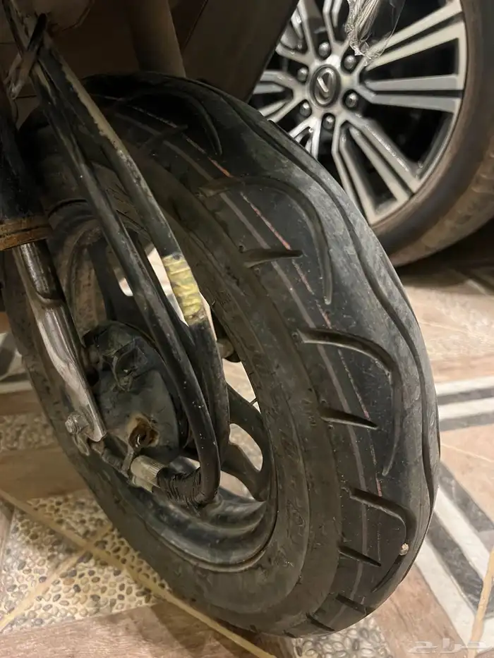 دباب بطة سزوكي على الضمان 1