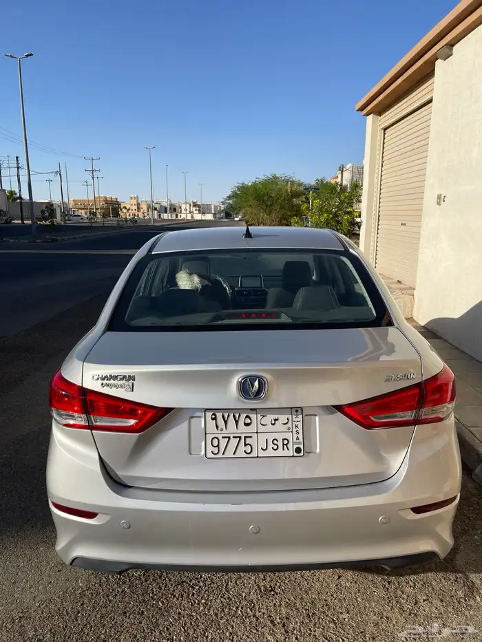 شانجان السفن 2023 2