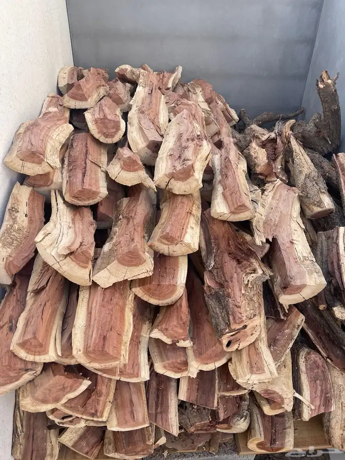 مشلخ طيب حطب 0