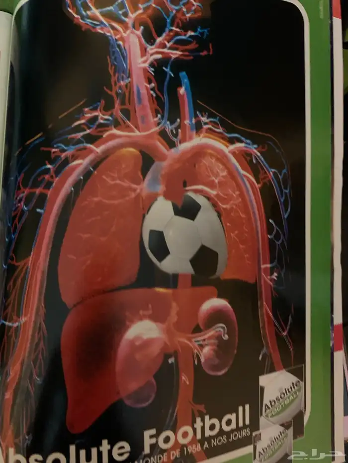 مجلات رياضية كورة قدم قديم قديمك نديمك 56