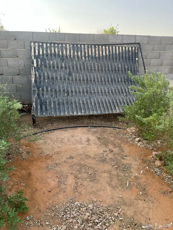 شينكو سكراب 1