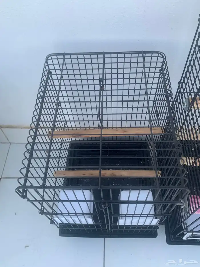 2 قفص كاسكو 4