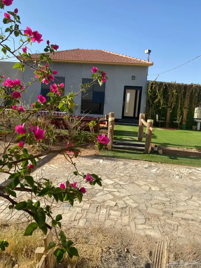 شاليه جوري الهلاليه البكيريه 8