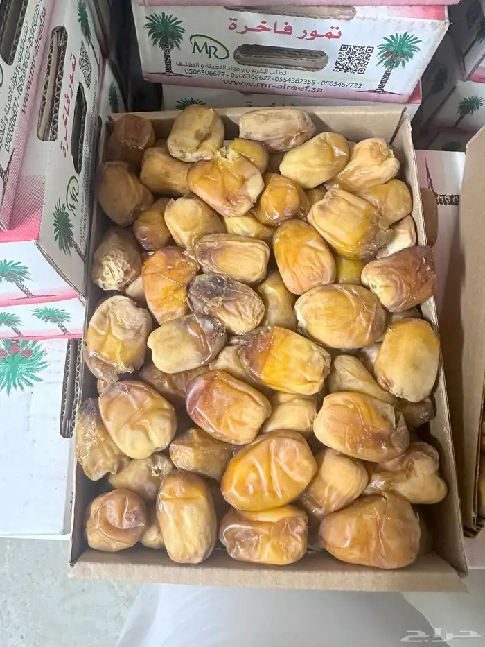 تمر تمور نجران الفاخره 2