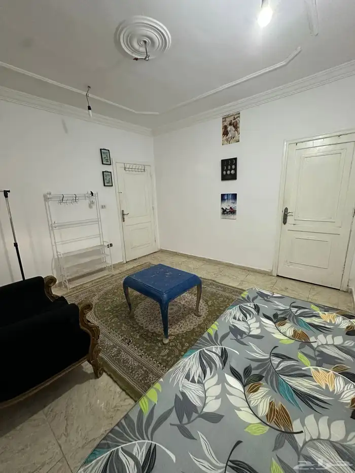 تم التاجير 6