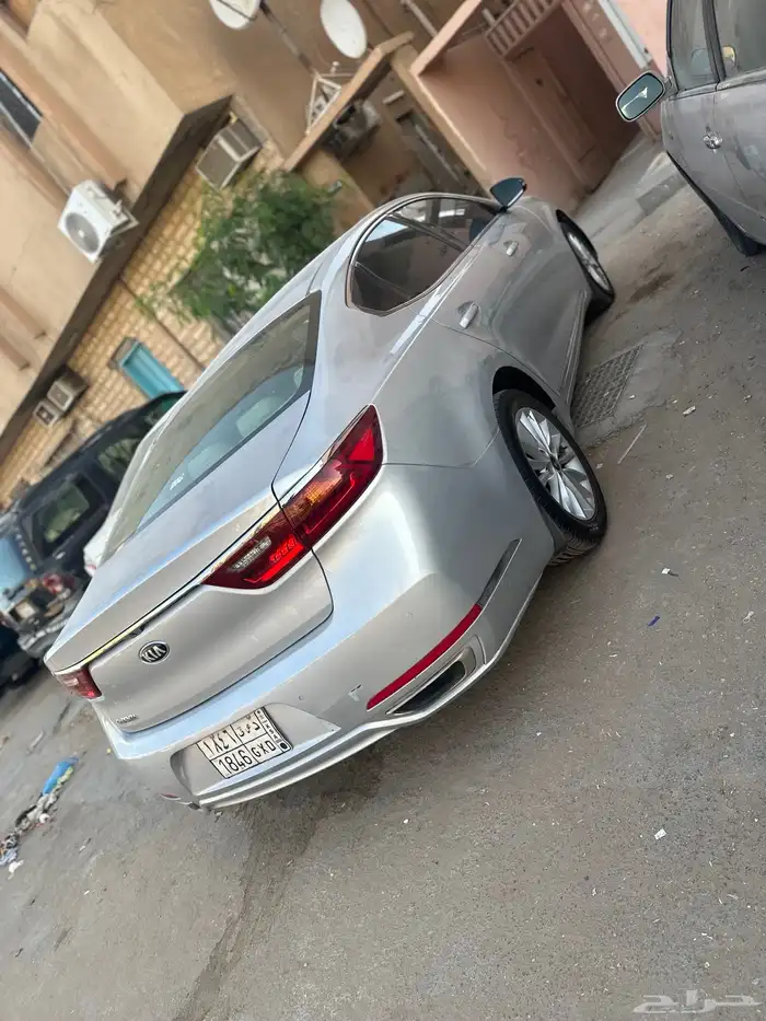 كادينزا 2018 1