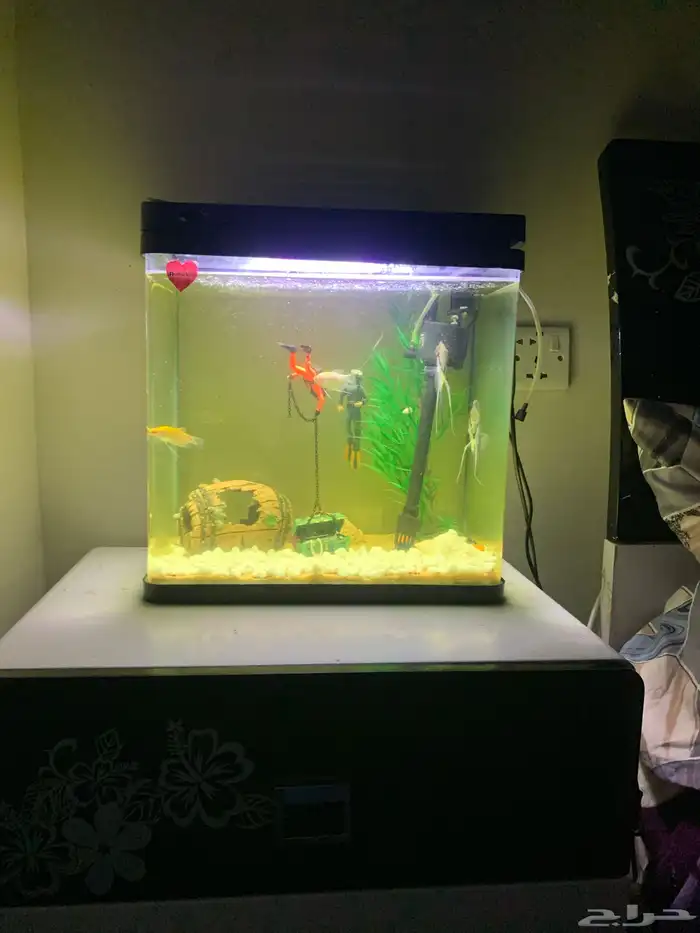 لبيع حوض سمك 2