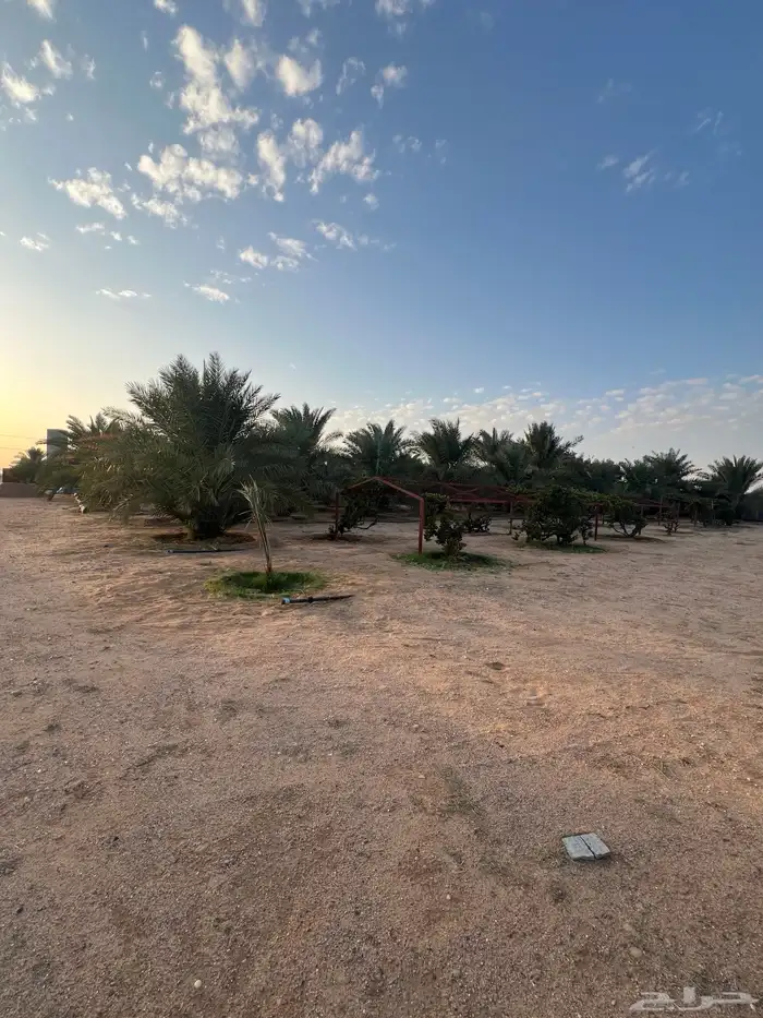 للبيع استراحة ومزرعة بالشقيق 34