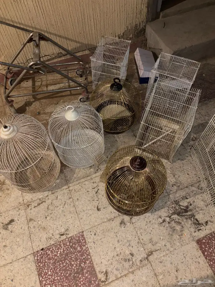 اللحقق العرض أقفاص على (10) ريال 3