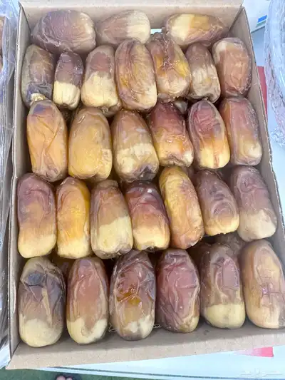 تمر تمور نجران الفاخره index