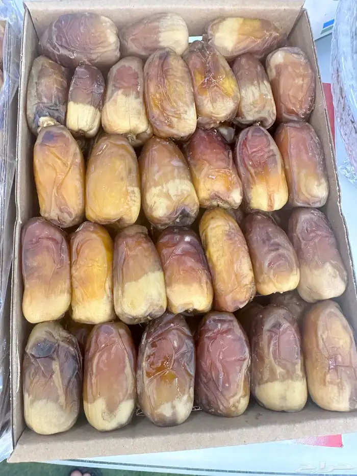 تمر تمور نجران الفاخره 3