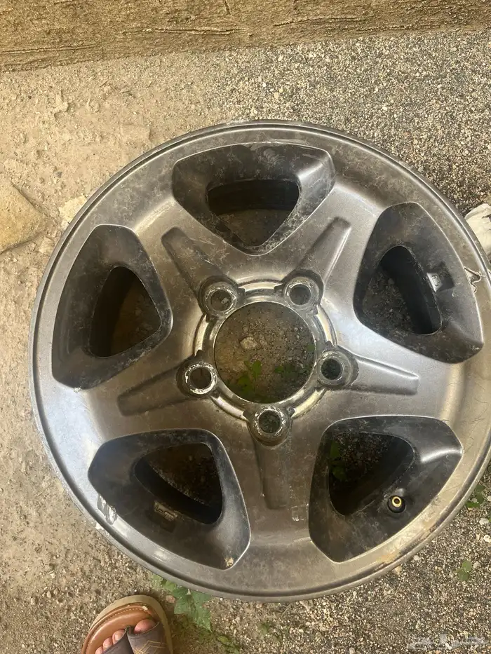 جنوط شاص رفرف 2