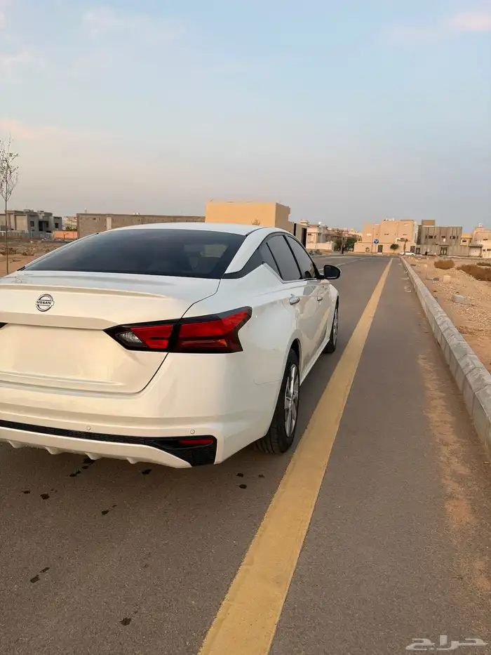 التيما 2020 ستاندر 1