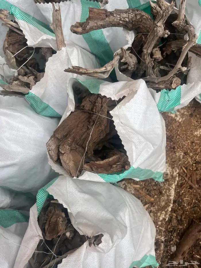 ح ط. ب من المدينه شرط يوجد توصيل كميه 17