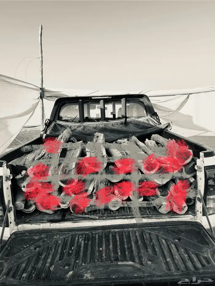 هايلقس حطب مستورد سسمر 1