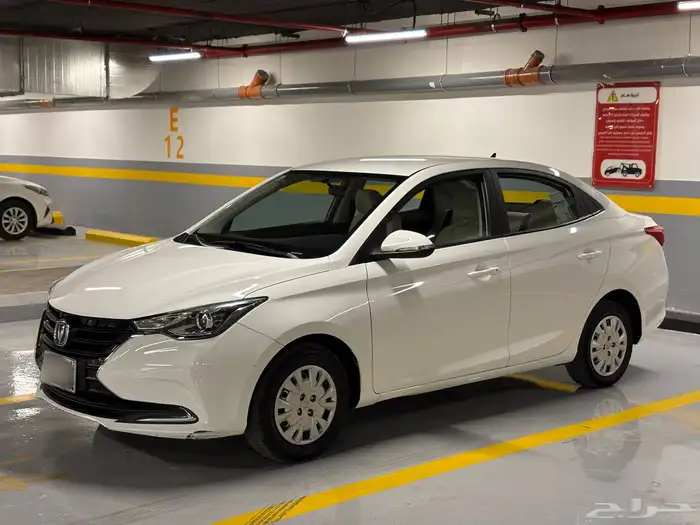 شانجان السفن 2021 0