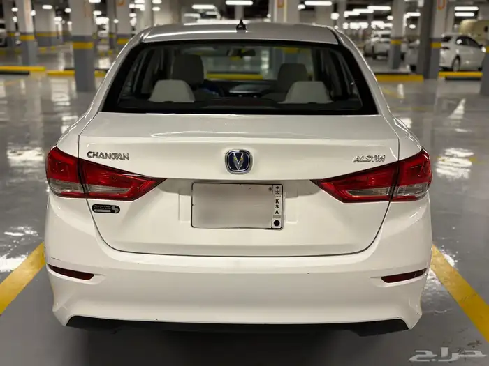 شانجان السفن 2021 3