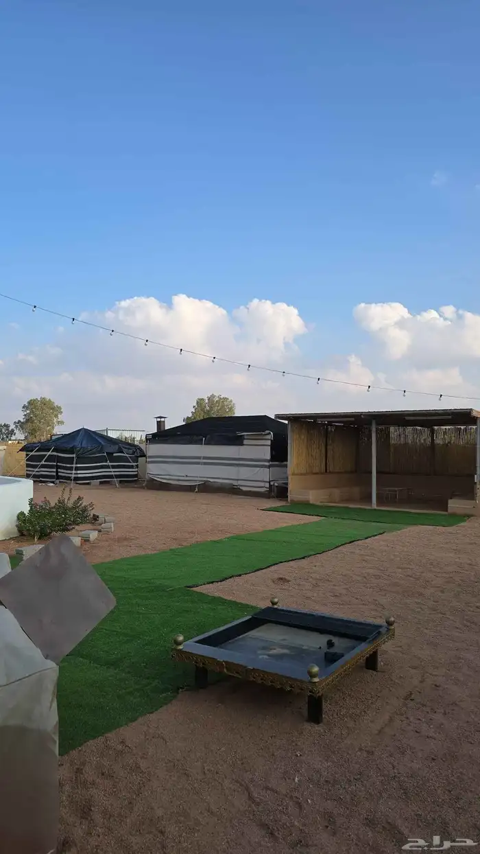 مخيم اجاء بالصفيراء جنوب حايل خلف محطة الفيصل 4