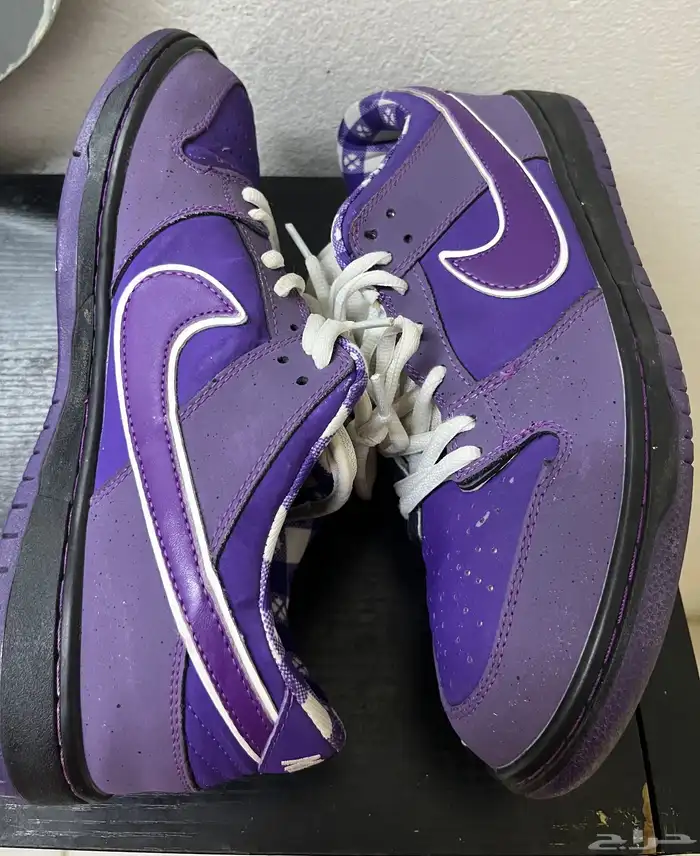 حذاء نايك sb 2