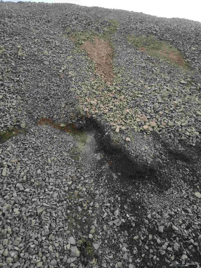 رمل أحمر الفريش 9