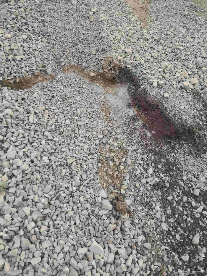 رمل أحمر الفريش 2