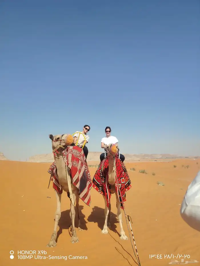 اجار جمال رحول وخيل عربية اصيلة 8