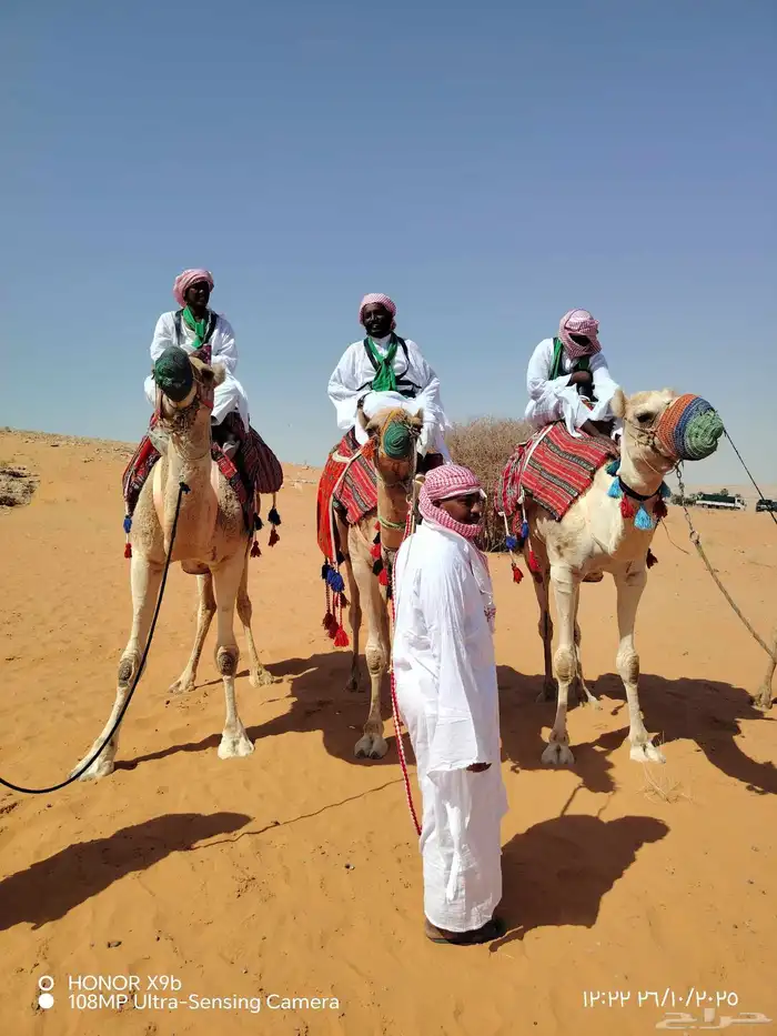 اجار جمال رحول وخيل عربية اصيلة 0