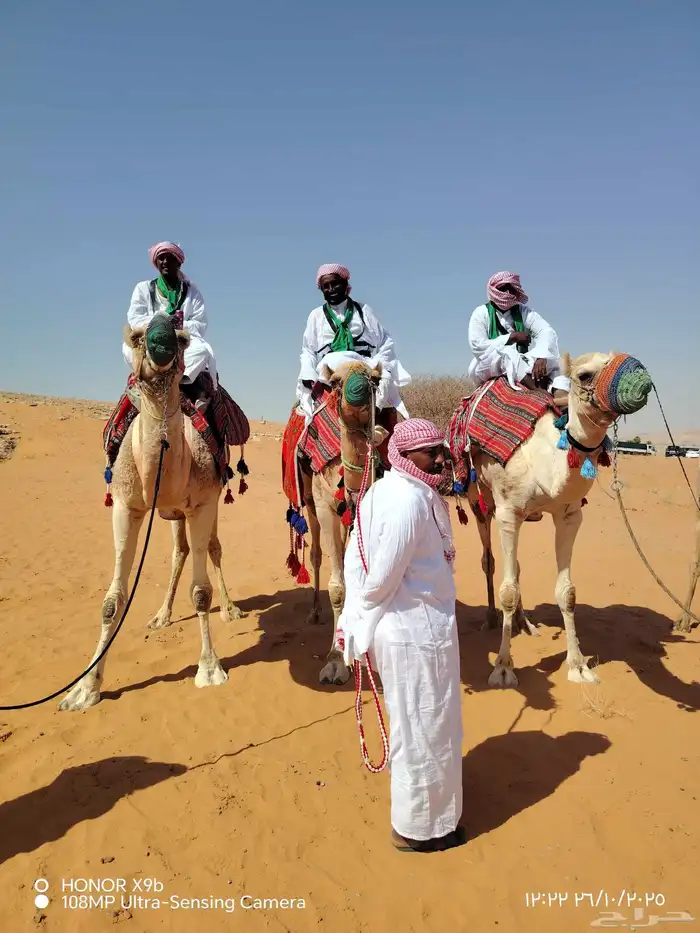 اجار جمال رحول وخيل عربية اصيلة 1