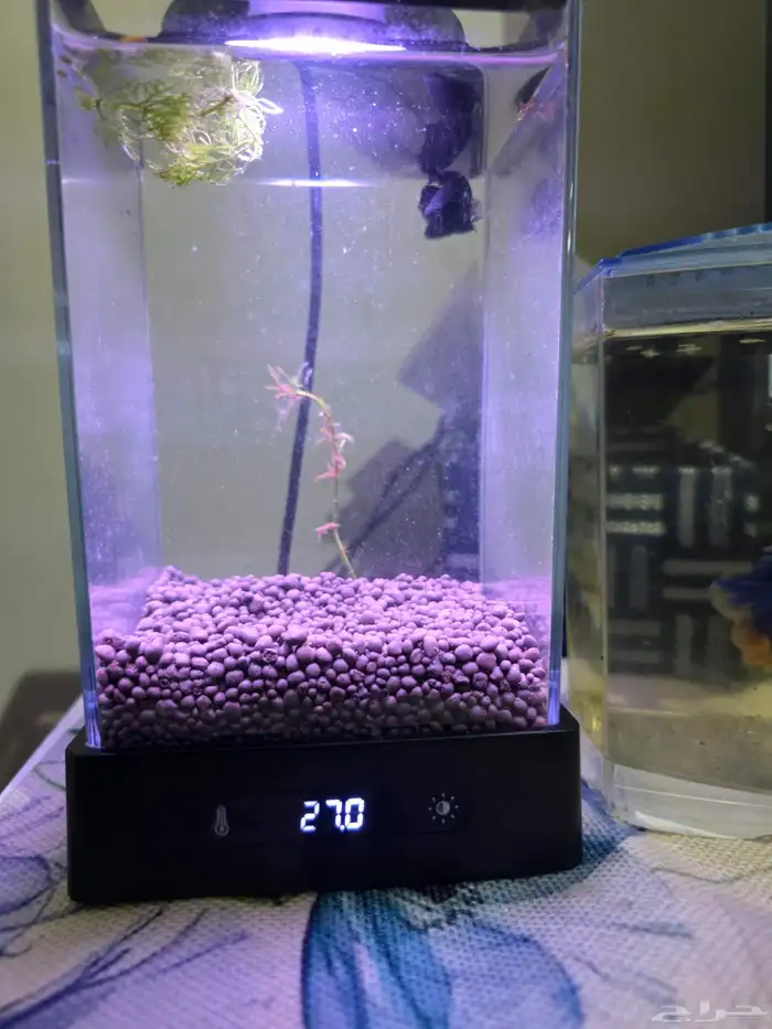 حوض فايتر ديجتال مع ذكر فايتر 5