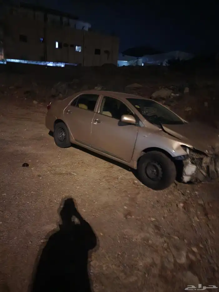 كوريلا 2012 تماتيك 1