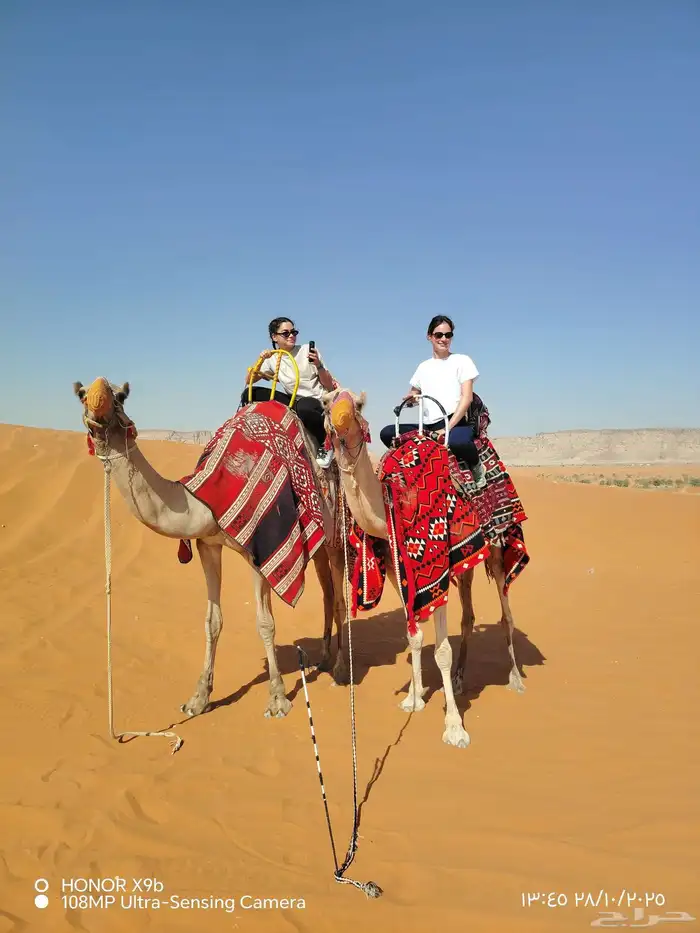 اجار جمال رحول وخيل عربية اصيلة 9