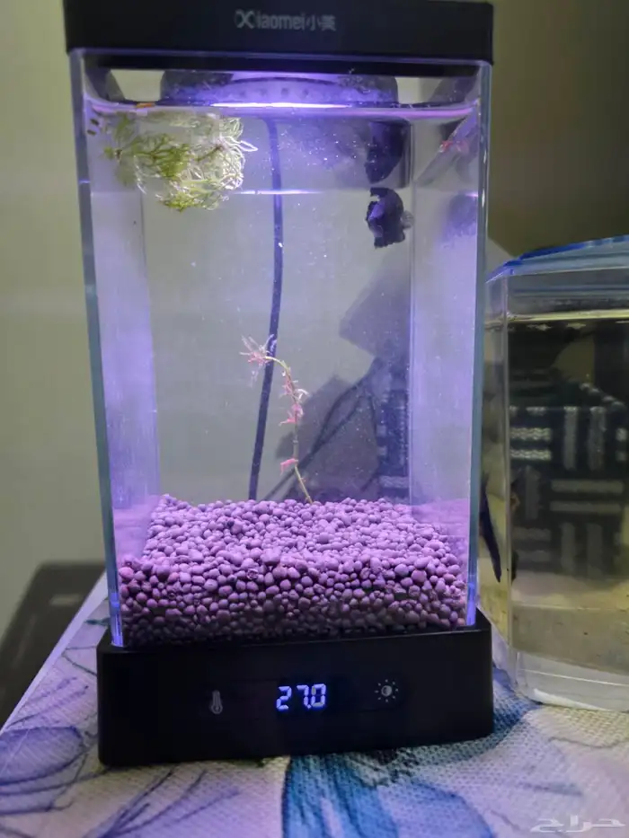 حوض فايتر ديجتال مع ذكر فايتر 0