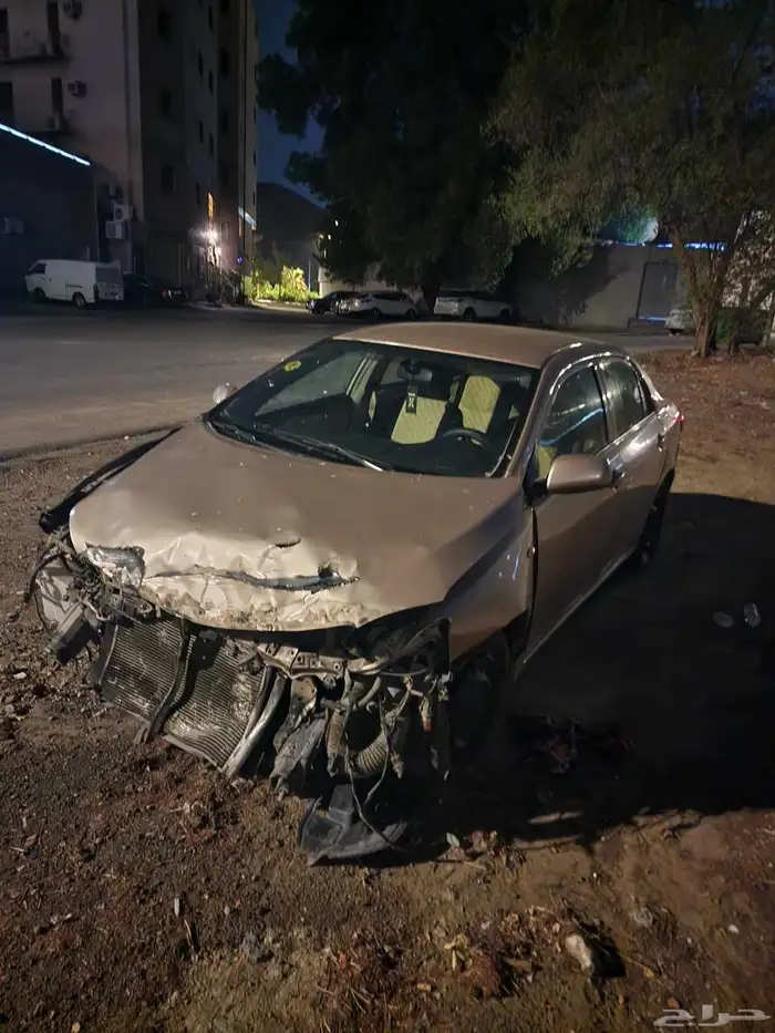 كوريلا 2012 تماتيك 2