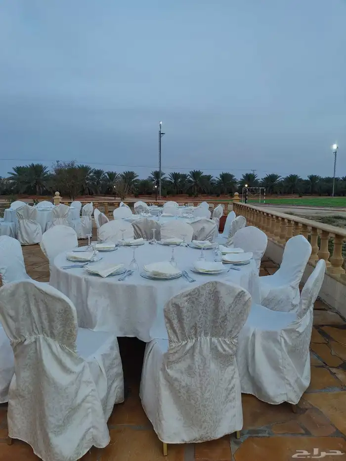 تأجبر كراسي طاولات 4