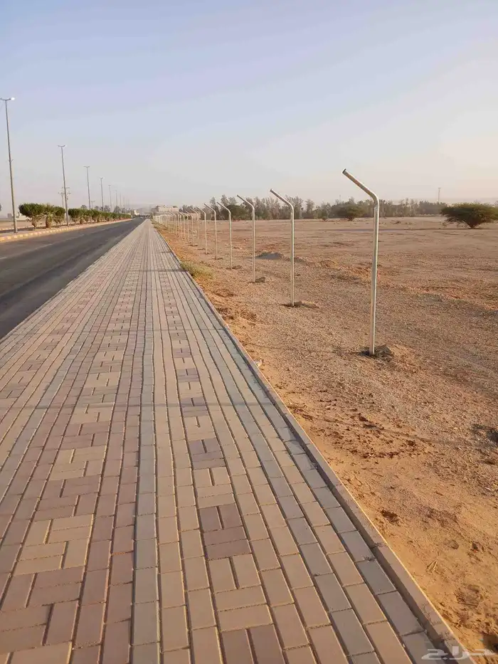 شبوك المزارع واستراحات 4