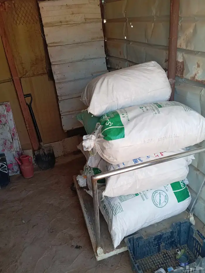 خبز مجفف للغنم والابل الكيس 15ريال يوجد كرتون فارغ 1000كرتون 0