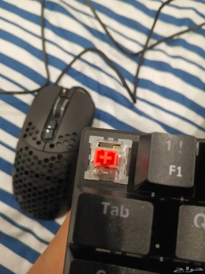السلام عليكم كيبورد و ماوس و الكيبورد سوتش احمر جديد 2