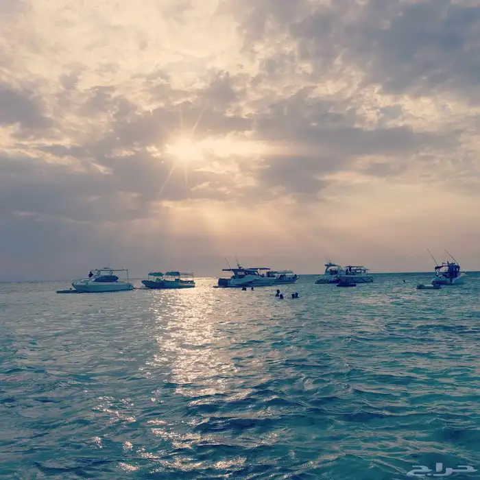 رحلات بحريه نزهه تمشيه بالساعه 1