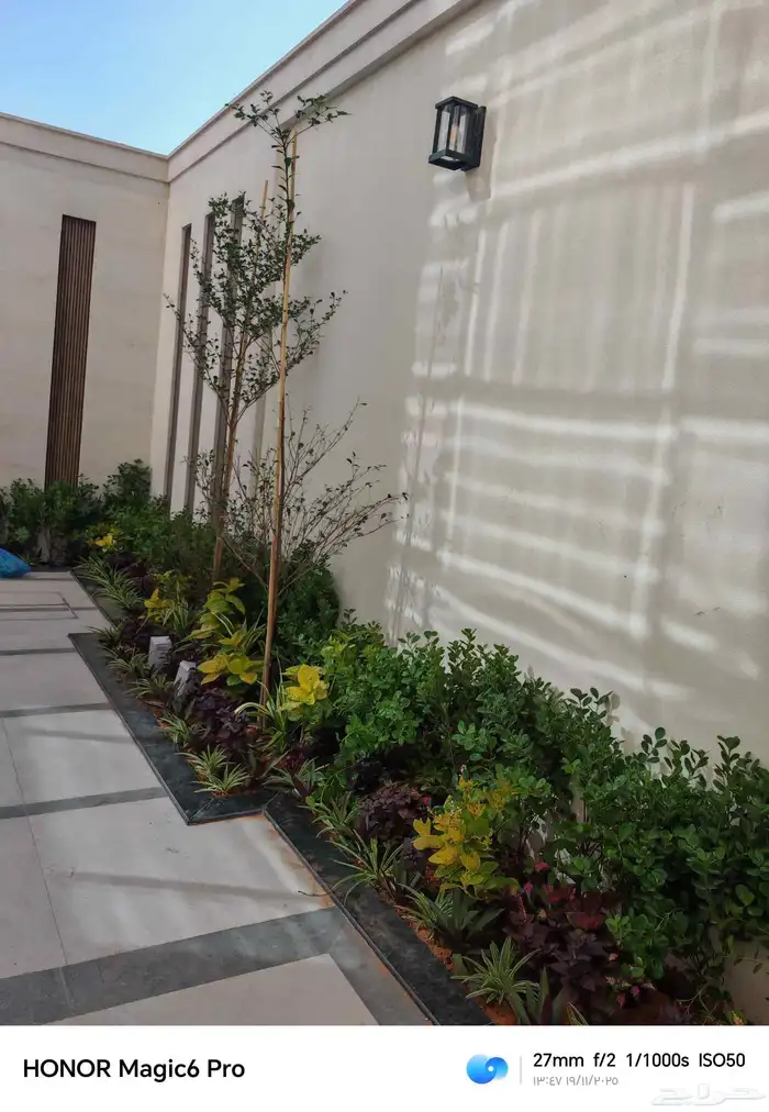 الزراعة الثيل الطبيعي وتركيب شبكات الري العادي والاتوماتيك 0