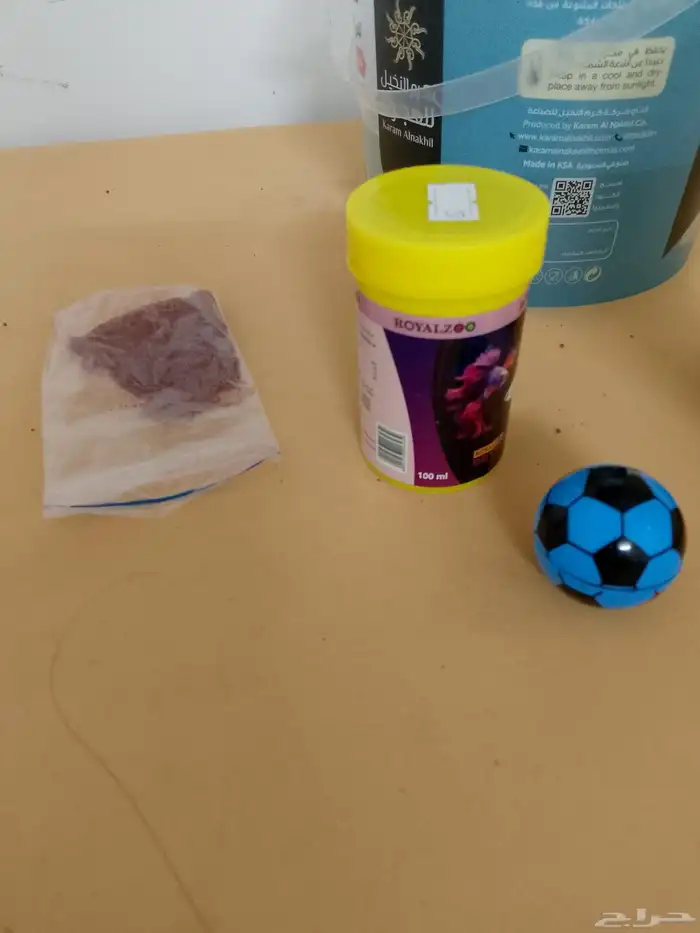 سمك زينه مع الحوض والاكل 5