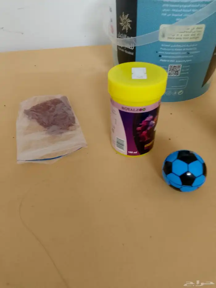 سمك زينه مع الحوض والاكل 4