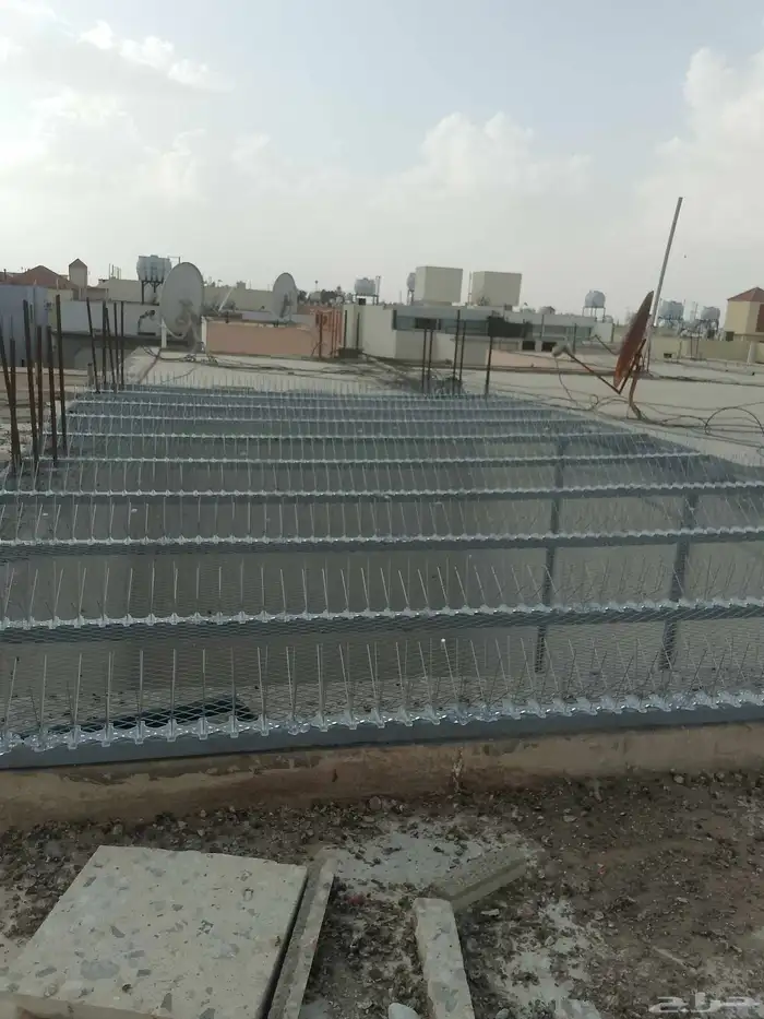 طاردوالحمام تركيب شبابيك شوك 0