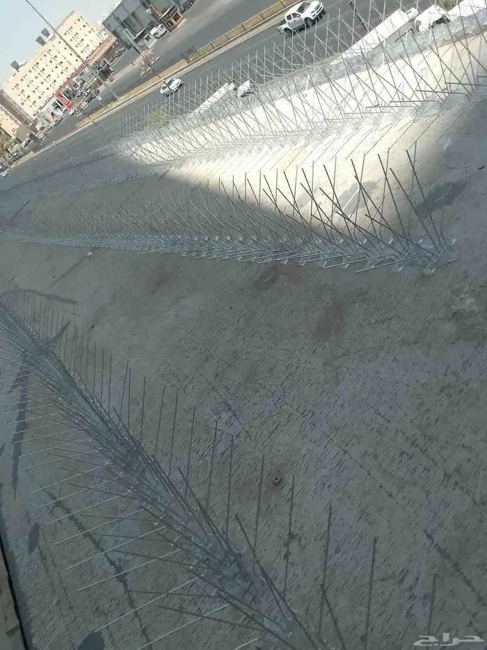 طاردوالحمام تركيب شبابيك شوك 3