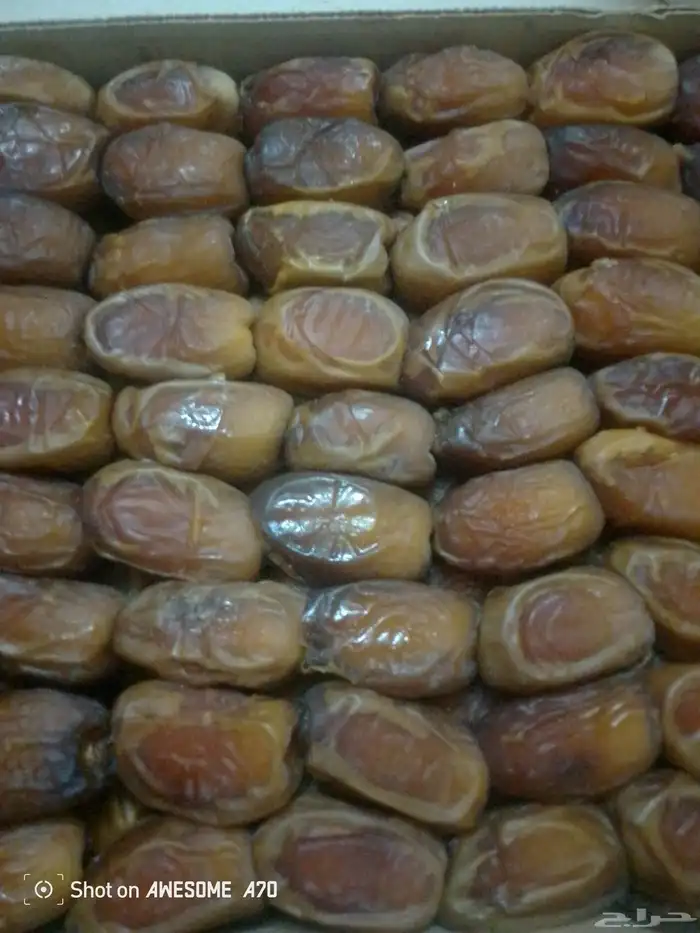 رطب صقعي فاخر 0