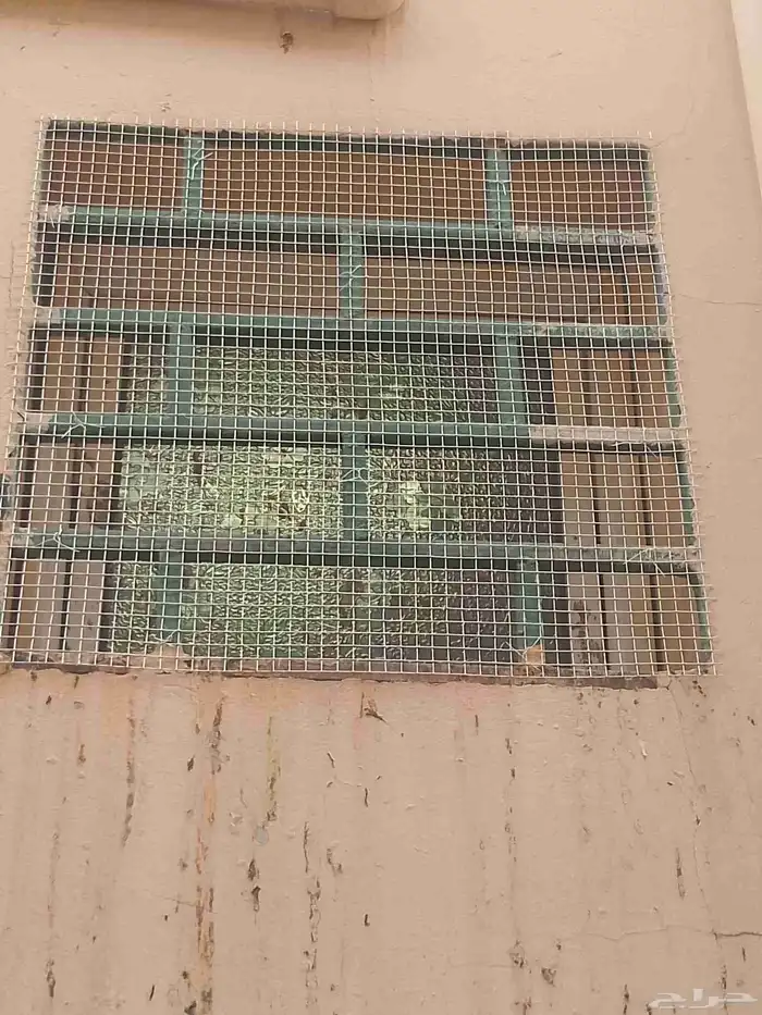 طاردوالحمام تركيب شبابيك شوك 1