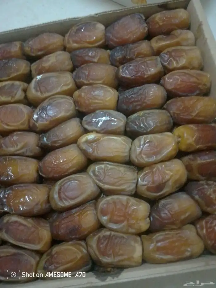 رطب صقعي فاخر 1