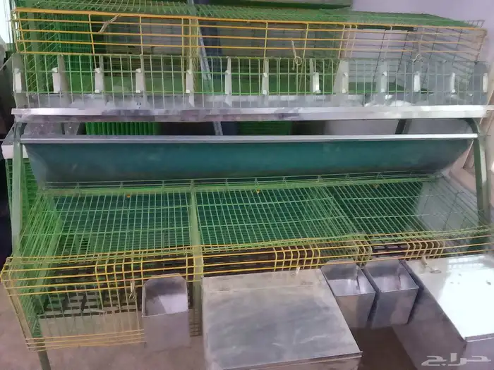 بطاريات ارانب 2